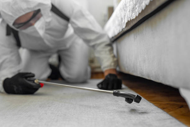 Professional Termite Control technician working in Juarez, TX