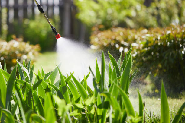 24/7 Emergency Termite Control experts in Juarez, TX