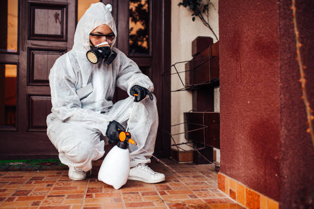 Reliable Termite Control contractor in Juarez, TX by Nex Pest Control